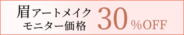 眉アートメイクモニター価格　30%OFF