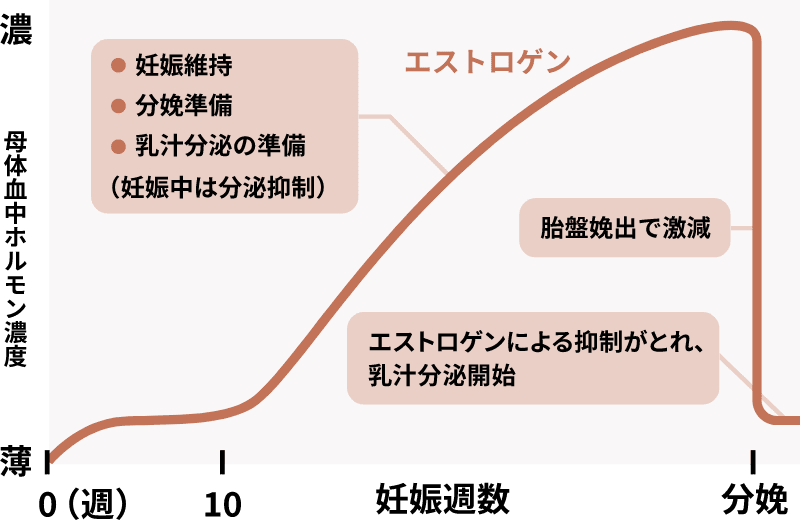 ホルモンバランスの変化の図